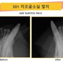 금호동물병원 이미지