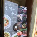 홍대개미 - 세종특별자치시 도움8로 11-11 | 홍대개미