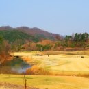 더라운딩