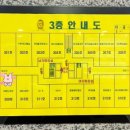 비비드아트