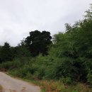 인월면 서무마을 이미지