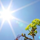 미라클요양병원 이미지