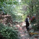 대가약수터 이미지