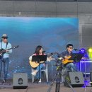 홍도야 우지마라 이미지