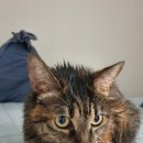 비브레이브(주) 이미지