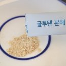 이정재X임지연 주연 얄미운 사랑 드라마 속 비타민하우스 글루텐분해 마이효소 후기
