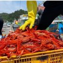 바보농축수산물