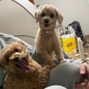 영산로 635 이미지