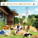 네코스토리 이미지