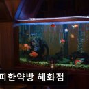 41190-01-07-383 | [혜화 카페] 커피한약방 혜화점 혜화 카페 커피한약방, 분위기 좋은 곳