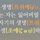 프쉬케(PSUCHE)