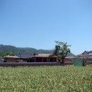 금당실전통마을 이미지