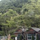 만수장 - 양주시 회정동 | 계곡물놀이 가능한 장안사계곡맛집 만수장가든