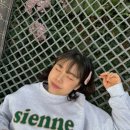 베네치아헤어 - 포항시 북구 칠성천길 119 | 베네치아헤어