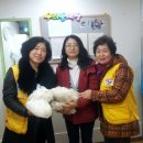 중앙동푸른학교 이미지