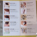 멍멍하누 이미지