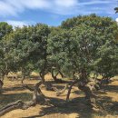 광진365플러스약국 이미지