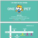 대구고양이분양 원펫 이미지
