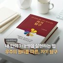 멘탈 리셋(자기탐구) | 자기탐구 나의 멘탈을 리셋하는 자기계발책 추천