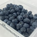 블루베리 그냥 먹으면 손해! &#39;이렇게&#39; 먹어야 진짜 건강해집니다{블루베리 주스} 이미지