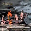 PAOLO SIANI FT. NUOVA IDEA - CASTLES, WINGS, STORIES &amp; DREAMS (RPI 2010) 이미지