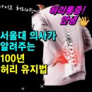 [서울대의사가 알려주는 100년 허리 유지법 이미지