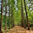 금강수목원(아) 이미지