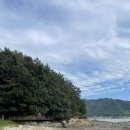외미골이야기 | 강진 가우도 근처 카페추천) 전남 바다 전망 카페/민들레는 민들레 카페 후기