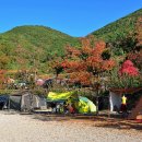 고성장좌리캠핑장 이미지
