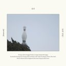 새벽포차 이미지