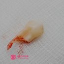 고덕서울오케이치과의원 이미지