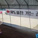 알프스마을영농조합법인 이미지