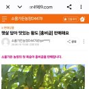 김종달농장 네이버블로그