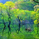 주)청송환경주