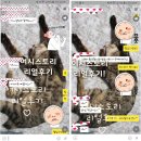 황후 메디칼 | 황후 환 품격 있는 후기