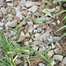 길상초등학교 이미지