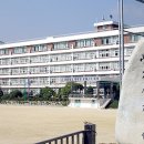 수원-1955 이미지