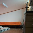 옥도면 장자도리 이미지