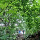 열목어마을 이미지