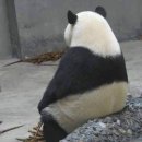 기다리다 이미지