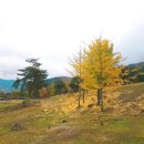 경섭목장 이미지