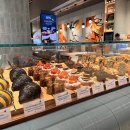 홍콩 4일 일정 코스: 연차 없이 떠나는 홍콩여행 신상호텔 맛집 후기