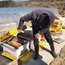 대황농장 이미지