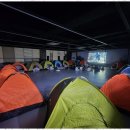 기품있는 태권도장 이미지