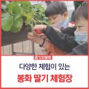해늘농원 이미지