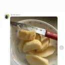 백동농장 네이버블로그