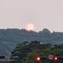23년 8월 셋째 주
