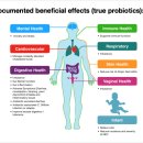 건강식품연구원 이미지