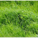 지하철 양산역 이미지