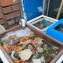 상일수산 | [상일동맛집] 대박소망수산 상일점 모둠회 후기